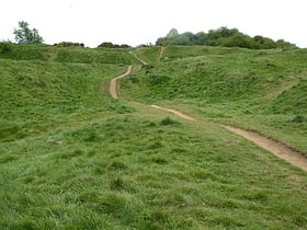 Bradlaugh Fields