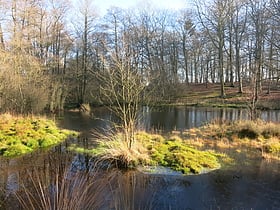 Sole Common Pond