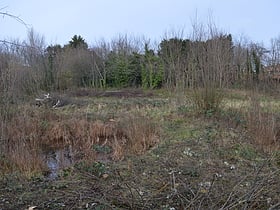 Birdbrook Road Nature Reserve