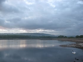 Llanishen Reservoir