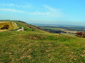 south downs way winchester