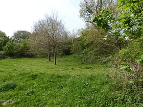 Gunton Meadow