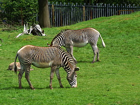 Edinburgh Zoo