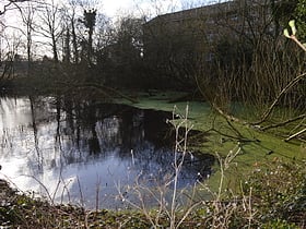 Uxbridge College Pond