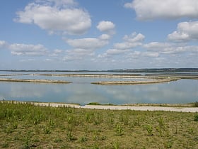 Langstone Harbour