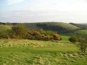 old winchester hill park narodowy south downs