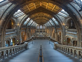 Musée d'histoire naturelle de Londres