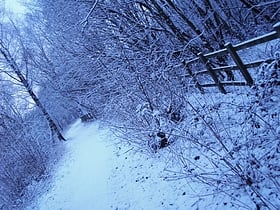 blackwater valley path aldershot