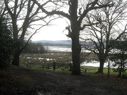 amberley wild brooks pulborough