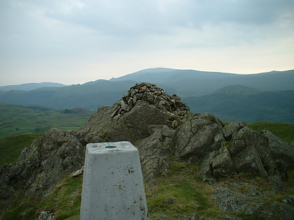 great stickle