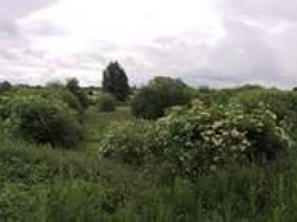 whetmead nature reserve witham