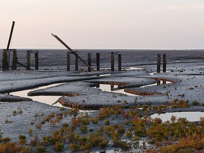 snettisham rspb reserve