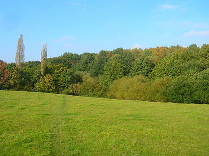 Chantry Mill