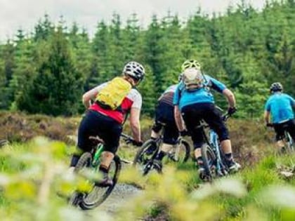 davagh forest trails cookstown
