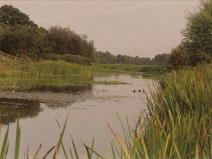 Langham Pond