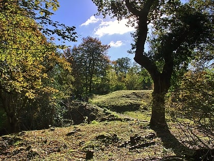 stokeleigh camp leigh woods national nature reserve