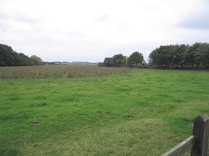 warblington meadow havant