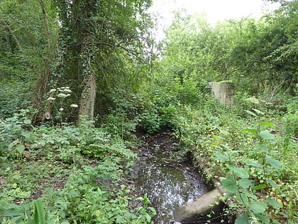 rezerwat przyrody mill stream ipswich
