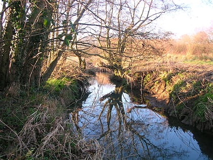 petworth canal sussex downs aonb