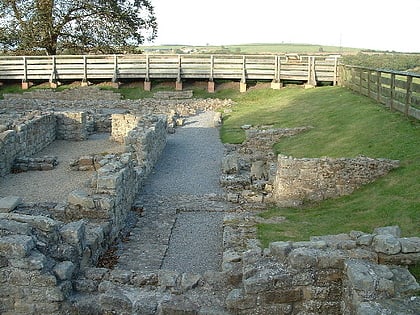 binchester roman fort bishop auckland