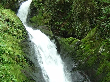 dolgoch falls park narodowy snowdonia