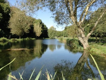 chalk springs trout fishery sussex downs aonb