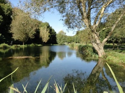 Chalk Springs Trout Fishery