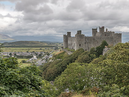 zamek harlech