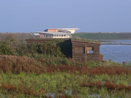 reserve naturelle de titchwell marsh norfolk coast aonb