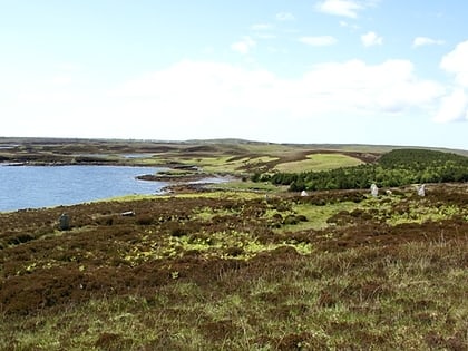 pobull fhinn north uist