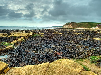 flamborough