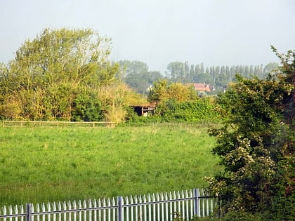hook meadow and the trap grounds oksford