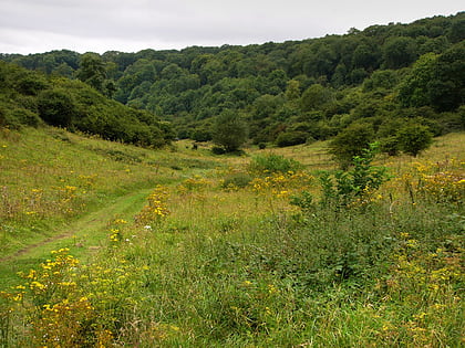 harting downs petersfield