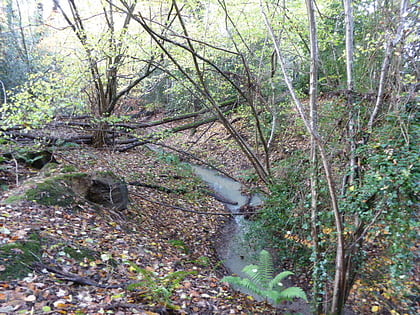 netherside stream outcrops chiddingfold