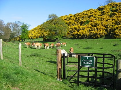 chesters hill fort