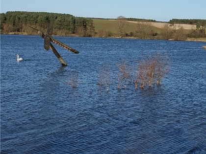 pitsford water