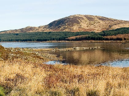 Loch Doon