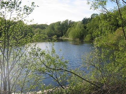 Ogston Reservoir