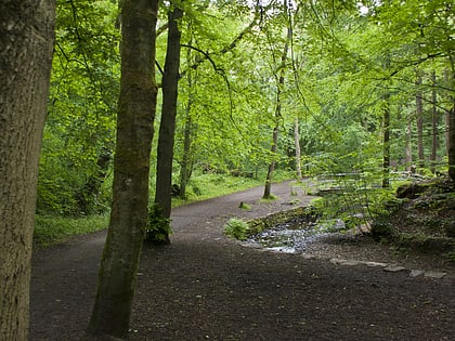 Borsdane Wood