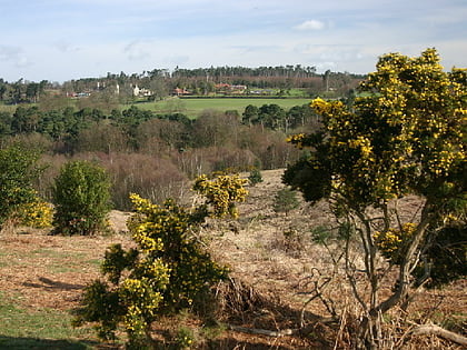old lodge ashdown forest