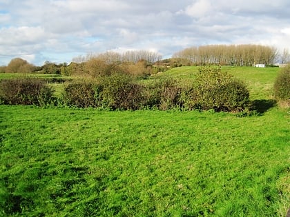 cotes grassland loughborough