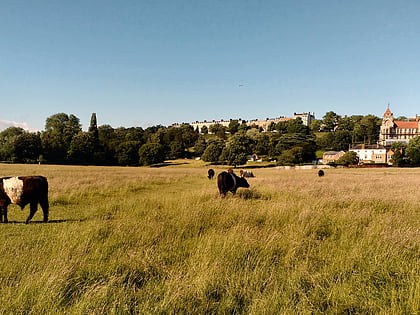 petersham meadows londyn