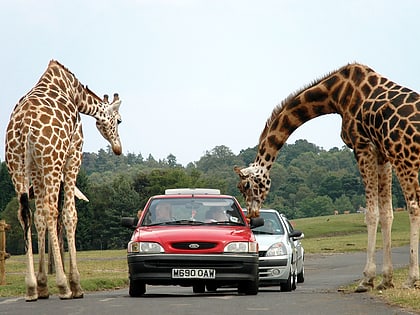 west midland safari park bewdley