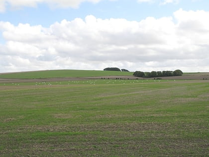 roundway down and covert devizes