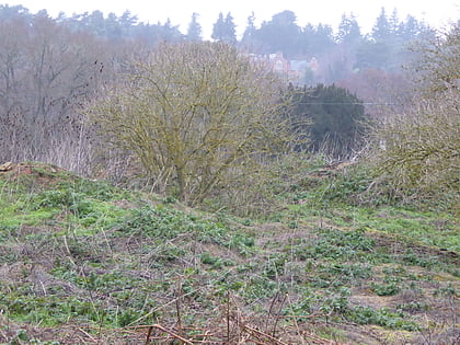 Hankley Farm