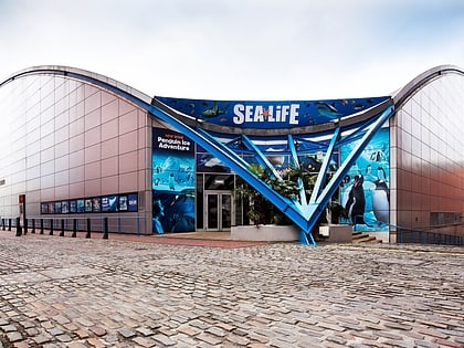 national sea life centre birmingham