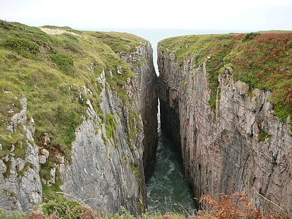 huntsmans leap freshwater east