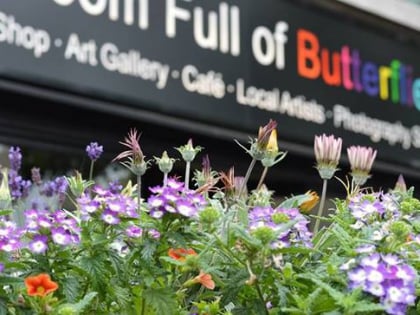 a room full of butterflies nottingham