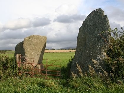 Bryn Gwyn stones