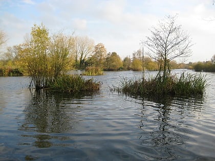 Stocker's Lake
